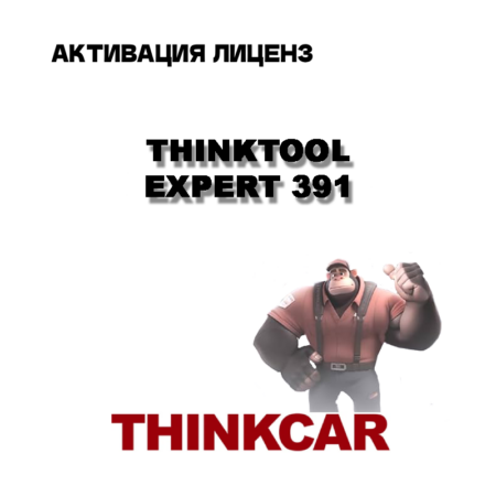 update thinktool expert 391